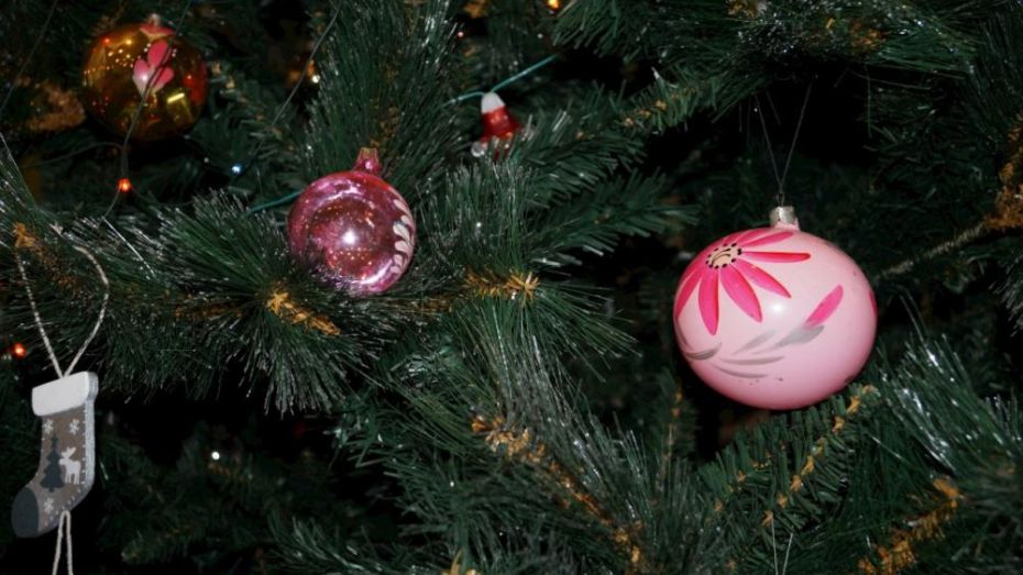 Первую новогоднюю елку поставили в Воронеже