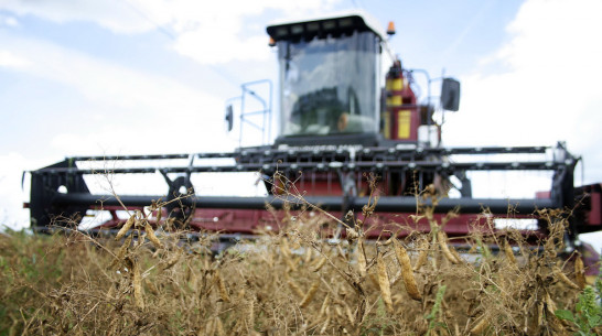 Бизнес-форум сельских предпринимателей пройдет в Воронежской области