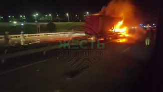 В Воронежской области фура влетела в отбойник и вспыхнула: видео