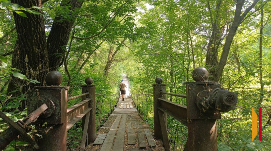 В селе Хохол отремонтируют подвесной мост через реку Девица