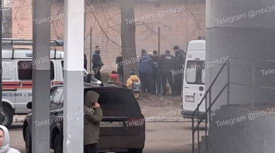 В Воронеже возле школы №87 у мальчика застрял палец в креплении волейбольной сетки