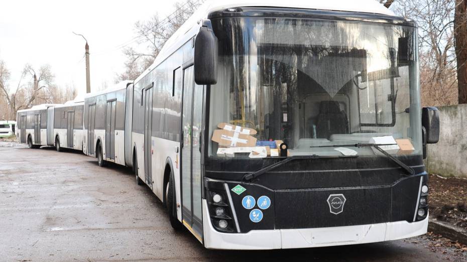 В Воронеж прибыли первые автобусы-гармошки