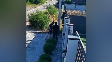 Воронежцы сообщили о банде в Ямном, которая избивает людей