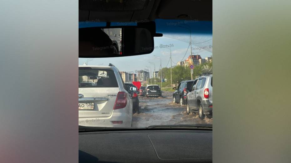 В Воронеже из-за коммунальной аварии затопило дорогу на улице Антонова-Овсеенко