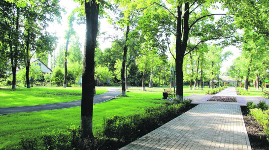 В Новоусманском районе открыли 2 парка