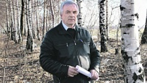 В панинском Прибитюжье в апреле будут заложены участки соснового и березового леса