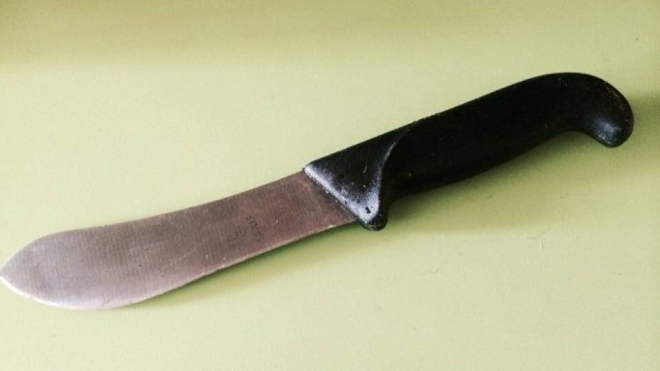 В Воронеже девушка ударила мужа ножом в живот
