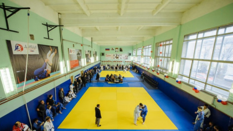 В воронежской школе олимпийского резерва 13-летний мальчик сломал 5 позвонков