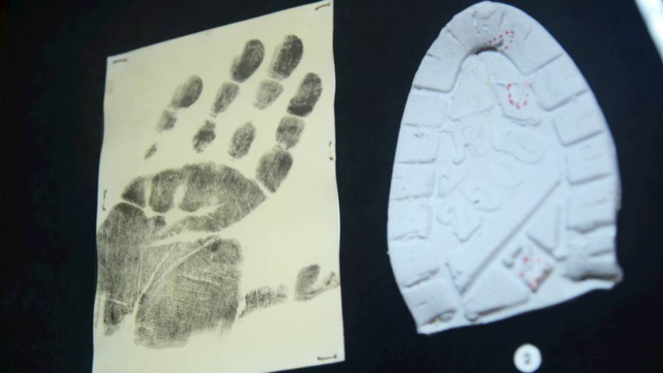 Бывший прокурор Воронежской области: за десятилетие число убийств снизилось в 4 раза