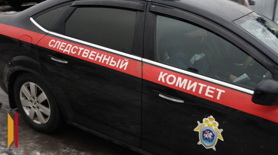 СК возбудил уголовное дело после нападения собак на воронежца в парке Оптимистов