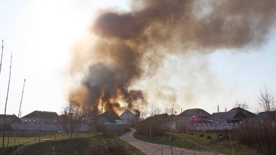 В Ольховатском районе количество ландшафтных пожаров выросло в 4,5 раза
