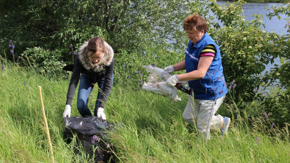 Хохольские волонтеры очистят от мусора берег реки Дон