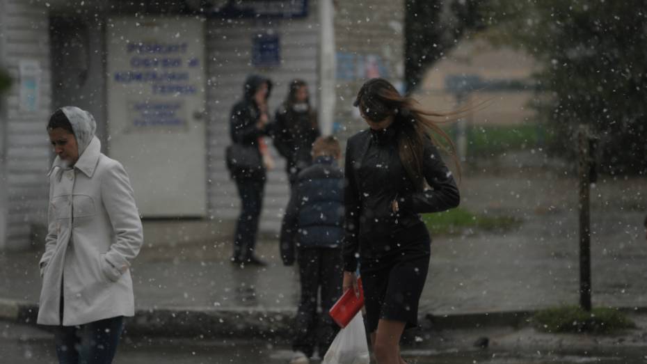 Воронежские синоптики объявили штормовое предупреждение из-за метели