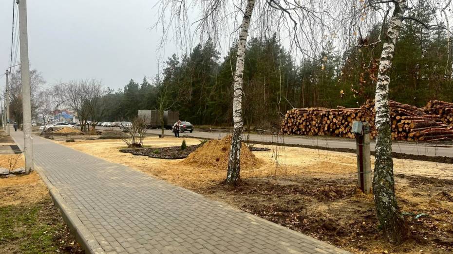 В Павловске завершили строительство тротуара протяженностью более 1 км по улице Лесной