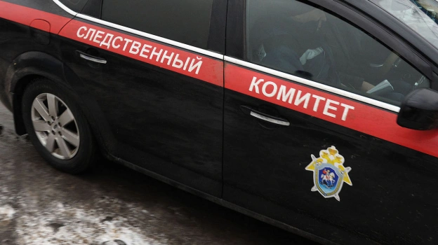 Связанный труп 17-летней девушки нашли в Воронеже в бауле рядом с мусоркой