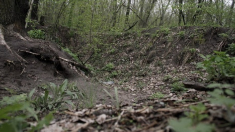 В воронежском спорткомплексе «Олимпик» нашли пенсионера с проломленной головой
