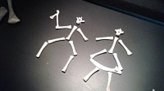 Воронежцы прошли по лабиринту по следам Гензеля и Греттель