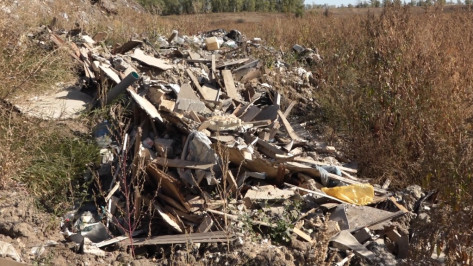 В Воронежской области ликвидировали 27 незаконных свалок на сельскохозяйственных землях