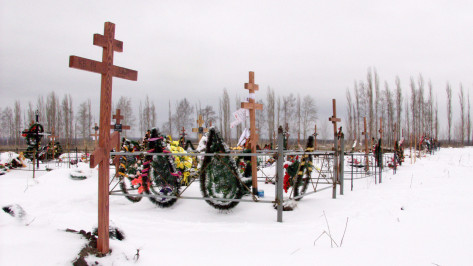 Вопрос о создании нового кладбища вновь подняли в Воронеже