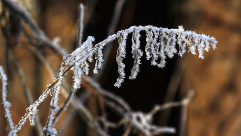 В Воронежской области может похолодать до -14 градусов