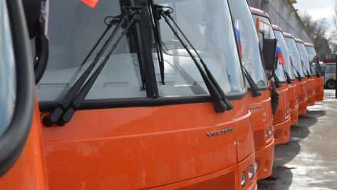 Минтранс предоставит Воронежу 56 автобусов в 2020 году
