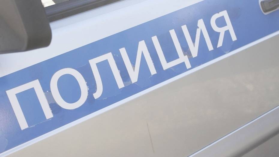 В Воронеже подозреваемый в краже напал на 2 полицейских 