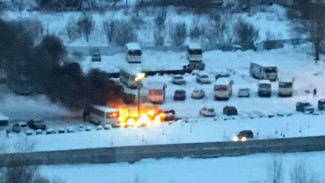 В Воронеже загорелись 3 ПАЗа: пожар попал на видео