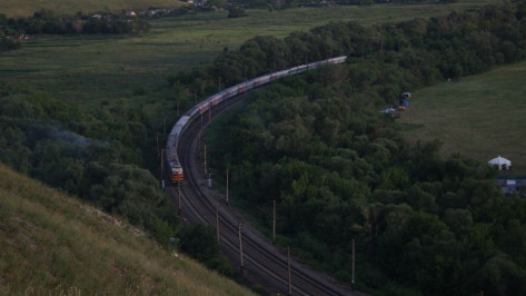 Экскурсионные электрички перевезли более 7,5 тыс пассажиров в воронежское Дивногорье