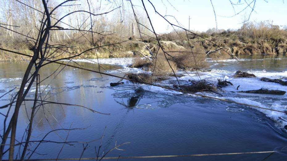 Грибановцев позвали на уборку поймы реки Ворона 20 апреля