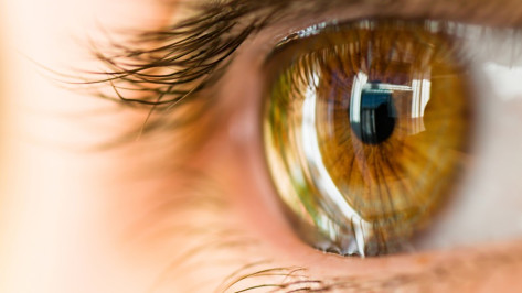 Смотри в оба. Что воронежцам нужно знать о катаракте 