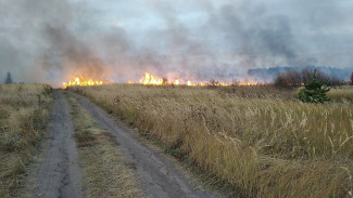 Пожарные спасли 4 населенных пункта в Воронежской области