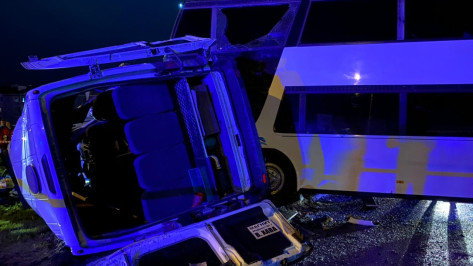 Количество погибших в ДТП с микроавтобусом под Воронежем увеличилось до 3 человек