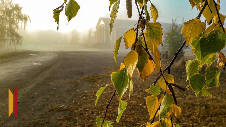 Воронежскую область вновь накроет туман