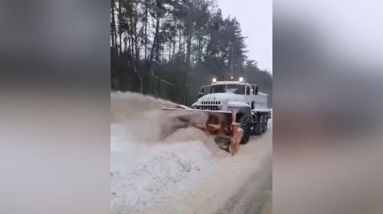 МЧС выделило технику для борьбы со снегом в Воронеже