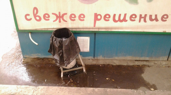 Власти Воронежа проверят чистоту вокруг городских предприятий