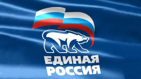 «Единая Россия» провела в Воронежской области последнюю в 2016 году региональную неделю