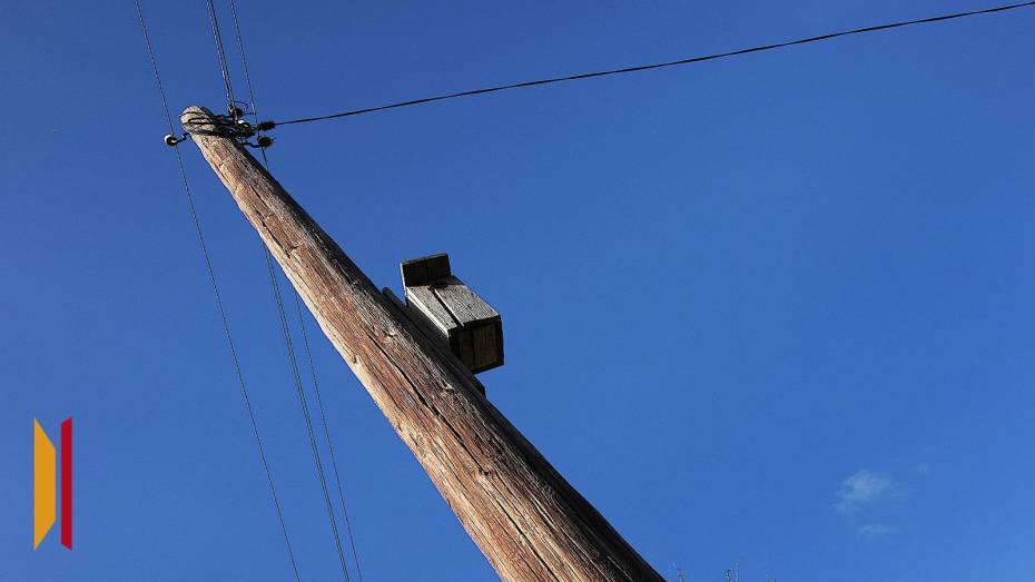 В Воронежской области от растительности расчистят трассы линий электропередачи за 110,7 млн рублей