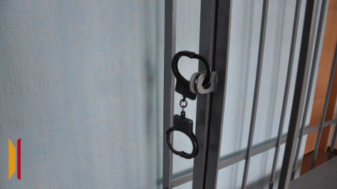 Криминал сбавил обороты: в Воронежской области заметно сократилось число преступлений