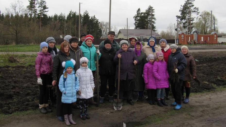 В Новохоперском районе заложили Аллею памяти и славы