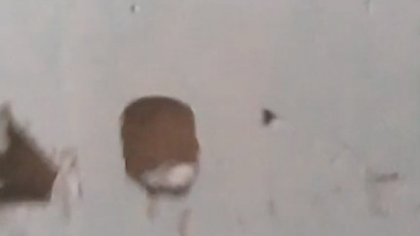 Воронежский облздрав прокомментировал попавшие на видео дыры в стенах районной больницы