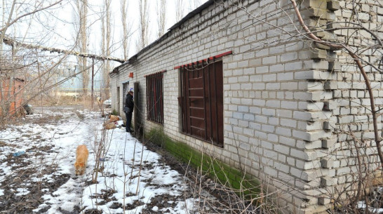 Мэрия отдала заброшенное здание приюту для бездомных животных