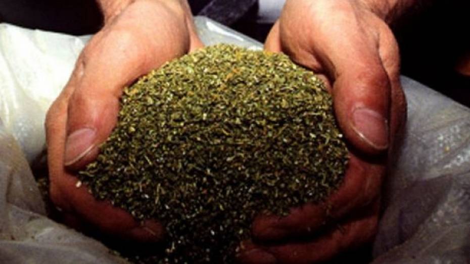 На поворинской заправке жители Волгоградской области попытались продать 1,8 кг марихуаны