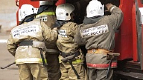 Воронежцев напугали десятки пожарных машин в Отрожке
