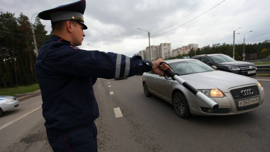 В Воронежской области после сплошных проверок ГИБДД обнаружили 24 пьяных водителя