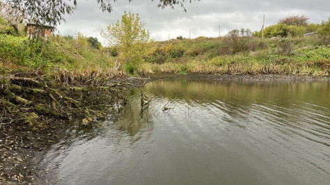 В Воронежской области незаконно спускают пруд