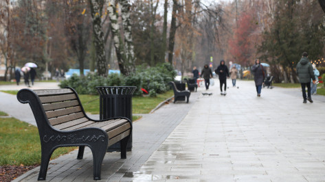 Воронежцам рассказали о ходе благоустройства улицы Карла Маркса