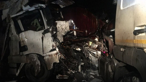 Под Воронежем водитель MAN погиб при столкновении с автоцистерной 