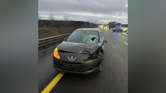 В Воронеже на трассе недалеко от кладбища Peugeot насмерть сбил пешехода