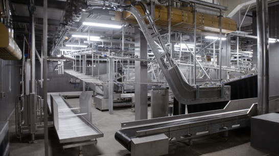 В воронежский завод лакокрасочных материалов инвестируют более 350 млн рублей