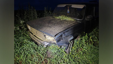 В Воронежской области нашли водителя, сбившего насмерть 13-летнего мальчика